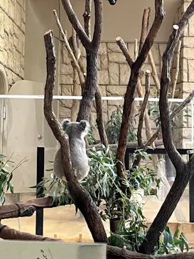 名古屋市東山動植物園に投稿された画像（2026/10/6）