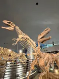福井県立恐竜博物館に投稿された画像（2026/10/6）