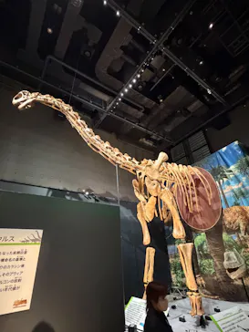 福井県立恐竜博物館に投稿された画像（2026/10/6）