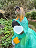 伊豆シャボテン動物公園に投稿された画像（2026/10/6）