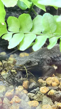 沖縄美ら海水族館に投稿された画像（2026/10/6）