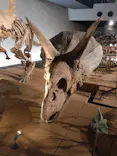 福井県立恐竜博物館に投稿された画像（2026/10/6）