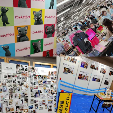 猫好きさんの祭典「にゃんだらけ21」に投稿された画像（2026/10/7）