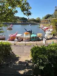 名古屋市東山動植物園に投稿された画像（2026/10/7）