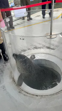 しながわ水族館に投稿された画像（2026/10/7）