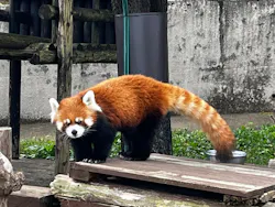 秋田市大森山動物園に投稿された画像（2026/10/7）