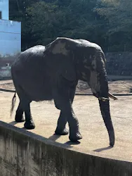 秋田市大森山動物園に投稿された画像（2026/10/7）