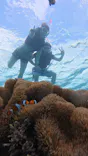 宮古島 ADVENTURE PiPi（ミヤコジマ アドベンチャー ピピ）に投稿された画像（2026/10/7）