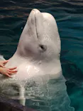 名古屋港水族館に投稿された画像（2026/10/7）