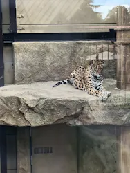 東武動物公園に投稿された画像（2026/10/7）