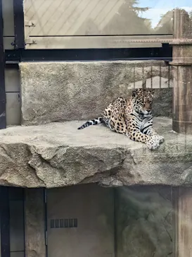 東武動物公園に投稿された画像（2026/10/7）