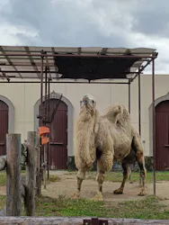 東武動物公園に投稿された画像（2026/10/7）