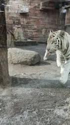 東武動物公園に投稿された画像（2026/10/7）