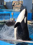 名古屋港水族館に投稿された画像（2026/10/7）