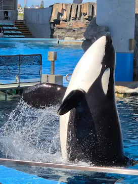 名古屋港水族館に投稿された画像（2026/10/7）
