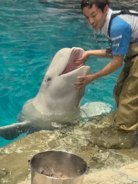 名古屋港水族館に投稿された画像（2026/10/7）