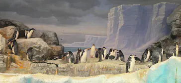 名古屋港水族館に投稿された画像（2026/10/7）