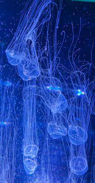 名古屋港水族館に投稿された画像（2026/10/7）
