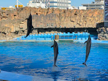 名古屋港水族館に投稿された画像（2026/10/7）