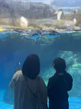 横浜・八景島シーパラダイスに投稿された画像（2026/10/8）