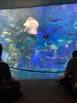 大分マリーンパレス水族館 「うみたまご」に投稿された画像（2026/10/3）