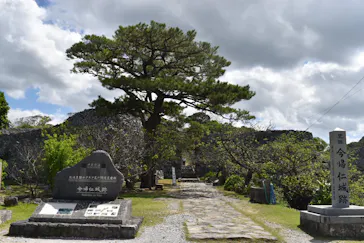 今帰仁城跡に投稿された画像（2026/10/8）