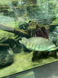 名古屋港水族館に投稿された画像（2026/10/8）