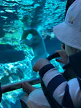 天王寺動物園に投稿された画像（2026/10/8）