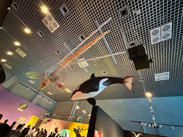 特別展「いきもの超ワールド展　国立科学博物館×ダーウィンが来た！」（国立科学博物館）に投稿された画像（2026/10/8）