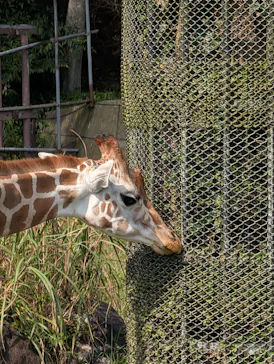 千葉市動物公園に投稿された画像（2026/10/8）