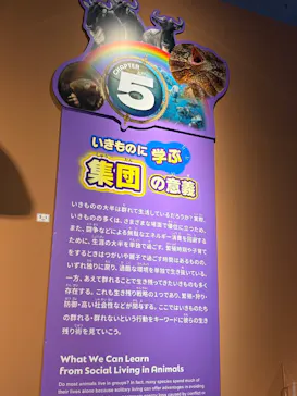 特別展「いきもの超ワールド展　国立科学博物館×ダーウィンが来た！」（国立科学博物館）に投稿された画像（2026/10/8）