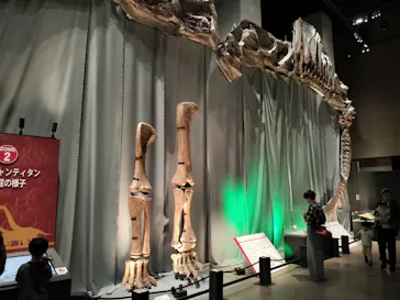 福井県立恐竜博物館に投稿された画像（2026/10/8）