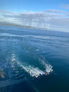 徳島県立 渦の道に投稿された画像（2026/10/8）