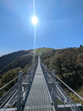びわ湖バレイに投稿された画像（2026/10/9）