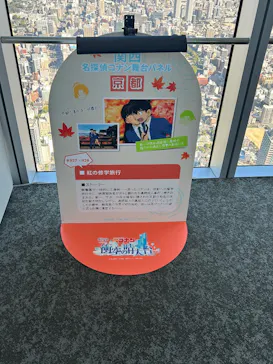 ハルカス300(展望台)に投稿された画像（2026/10/9）