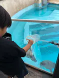 マリンワールド海の中道に投稿された画像（2026/10/9）