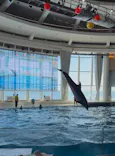 アクアワールド茨城県大洗水族館に投稿された画像（2026/10/9）