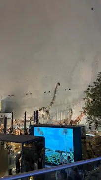 福井県立恐竜博物館に投稿された画像（2026/10/9）