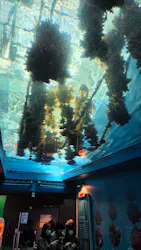 仙台うみの杜水族館に投稿された画像（2026/10/9）