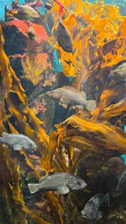仙台うみの杜水族館に投稿された画像（2026/10/9）