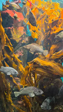 仙台うみの杜水族館に投稿された画像（2026/10/9）