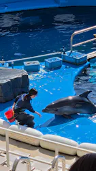 仙台うみの杜水族館に投稿された画像（2026/10/9）