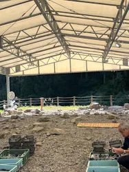 福井県立恐竜博物館に投稿された画像（2026/10/9）