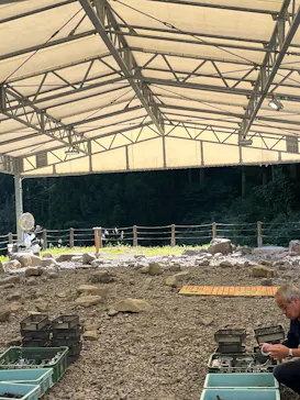 福井県立恐竜博物館に投稿された画像（2026/10/9）