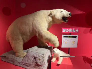 特別展「いきもの超ワールド展　国立科学博物館×ダーウィンが来た！」（国立科学博物館）に投稿された画像（2026/10/9）