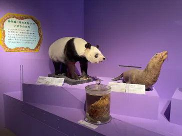 特別展「いきもの超ワールド展　国立科学博物館×ダーウィンが来た！」（国立科学博物館）に投稿された画像（2026/10/9）
