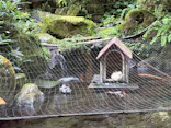 箱根湯本温泉 天成園に投稿された画像（2026/10/9）
