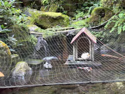 箱根湯本温泉 天成園に投稿された画像（2026/10/9）