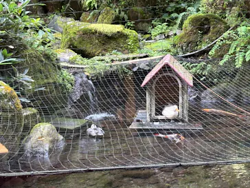 箱根湯本温泉 天成園に投稿された画像（2026/10/9）