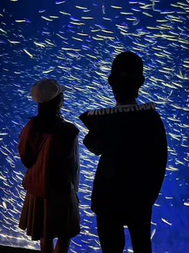 大分マリーンパレス水族館 「うみたまご」に投稿された画像（2026/10/9）